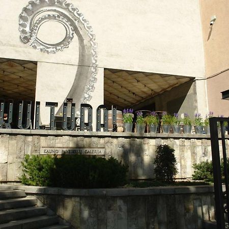 Kaunas Downtown Apartments Εξωτερικό φωτογραφία