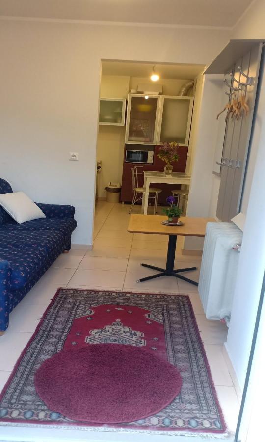 Kaunas Downtown Apartments Εξωτερικό φωτογραφία