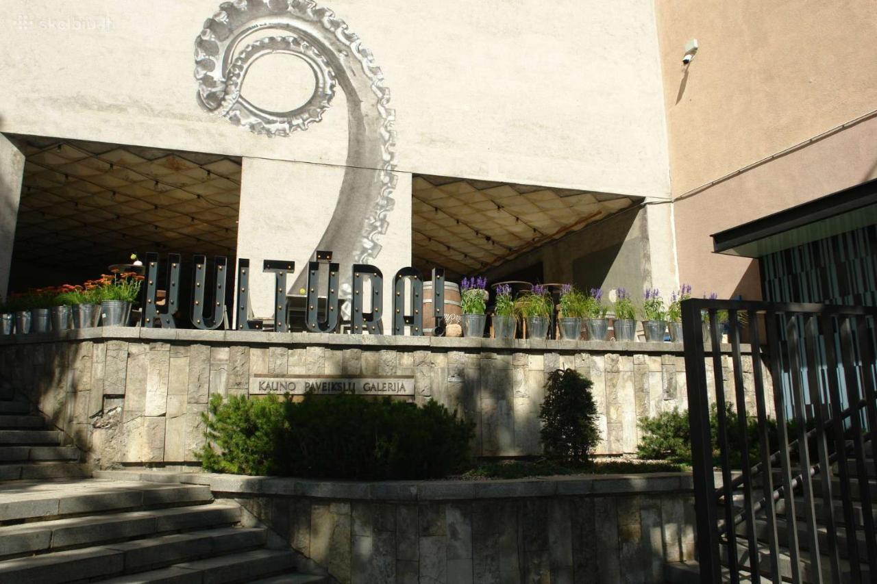 Kaunas Downtown Apartments Εξωτερικό φωτογραφία