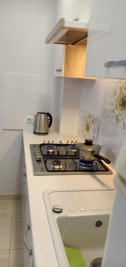 Kaunas Downtown Apartments Εξωτερικό φωτογραφία
